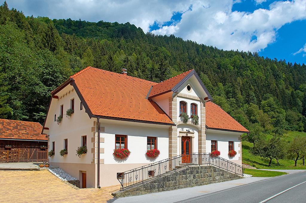 Farm Stay Bukovje Ljubno Buitenkant foto