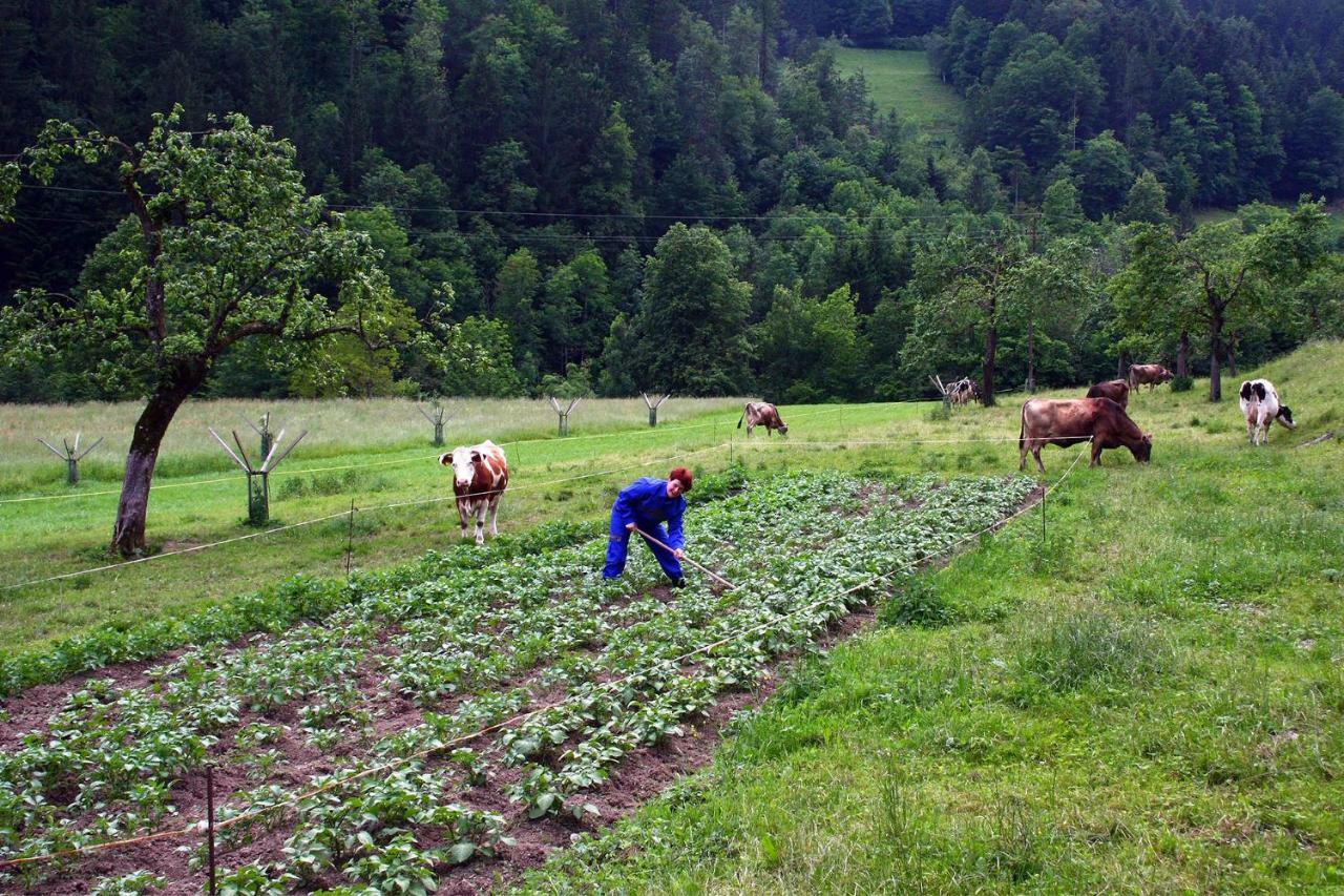 Farm Stay Bukovje Ljubno Buitenkant foto
